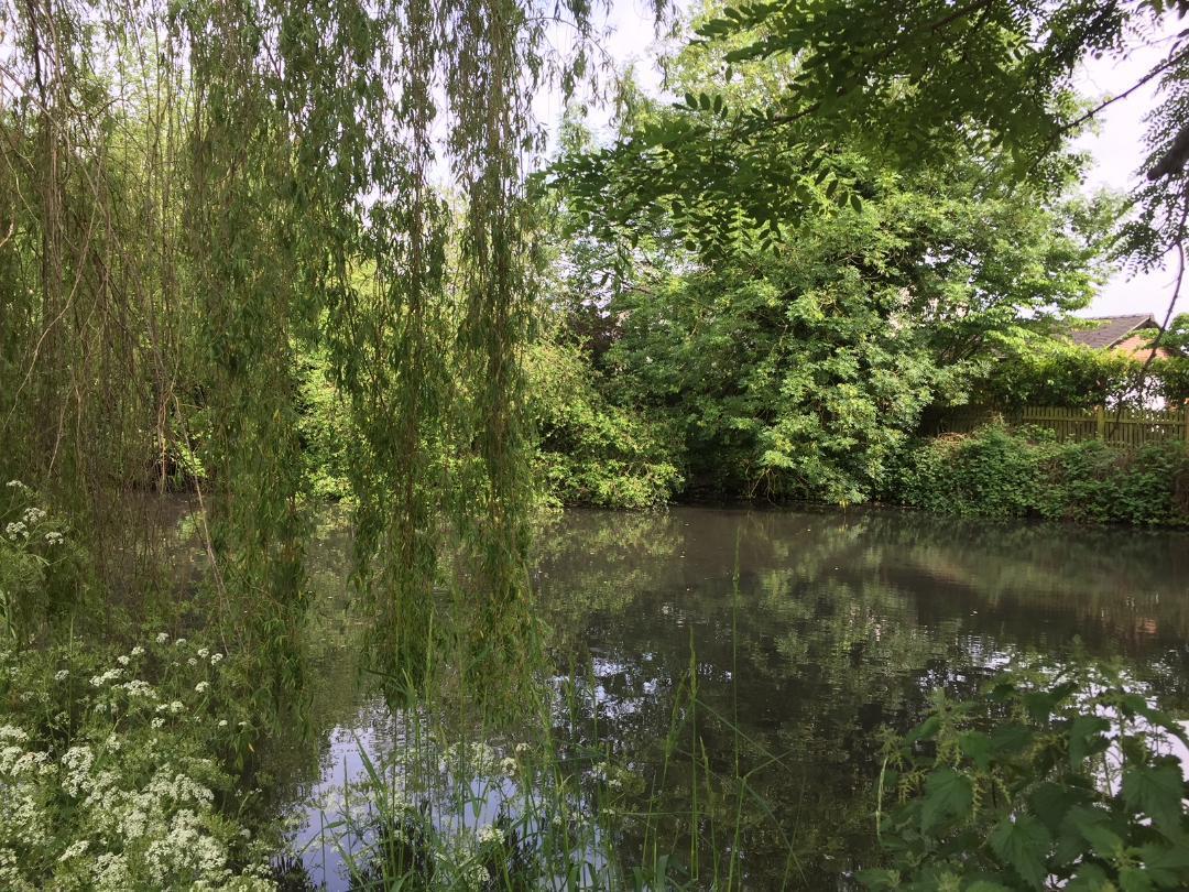 The Old Mill Hotel Alsager Luaran gambar